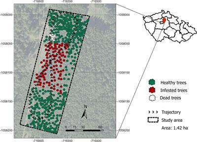 Bark beetle detection method using electronic nose sensors. A possible improvement of early forest disturbance detection?